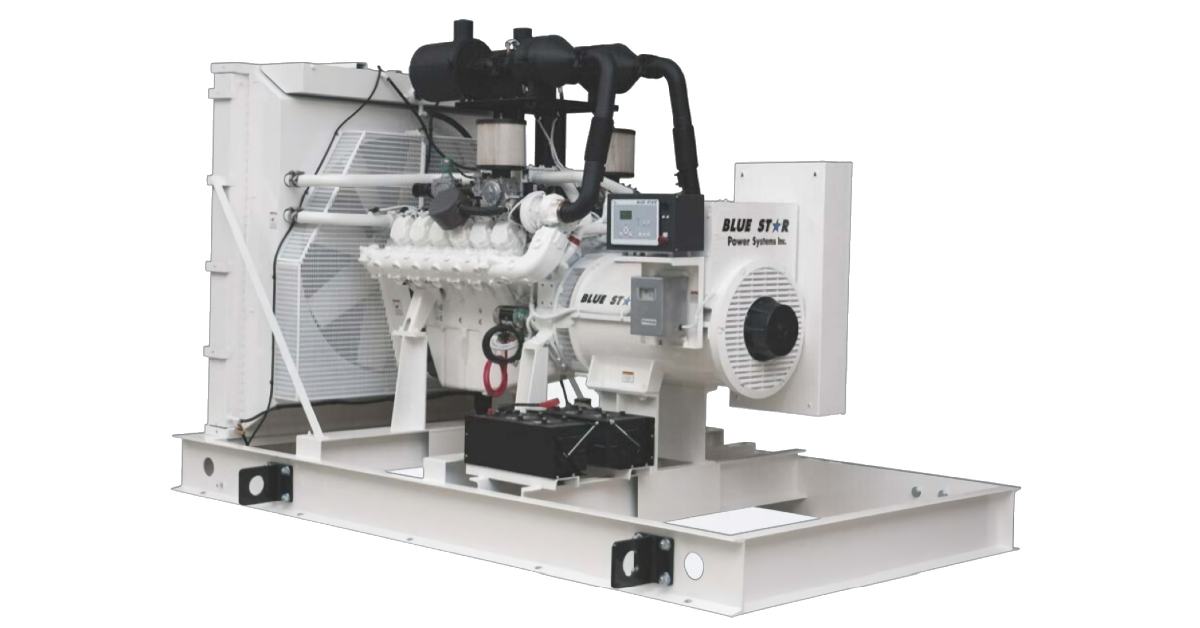 BLUE STAR Power Systems 800KW Generador gaseoso | NG800-01